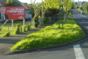 Onehunga resident Mike Haley says this overgrown berm is one of about 30 per cent in his area not being mown.