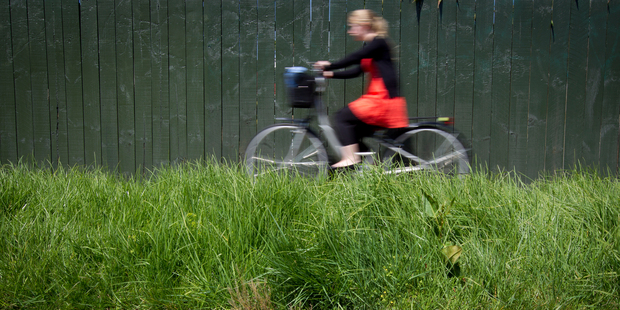 Overgrown berms in Segar Avenue, Mt Albert. Photo / Sarah Ivey