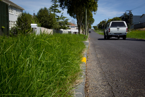 The council will save $3 million a year by not mowing grass berms such as these overgrown areas in Segar Ave, Mt Albert. Photo / Sarah Ivey
