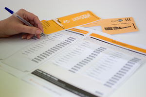 Voting papers need to be mailed by this Thursday. Photo / Sarah Ivey