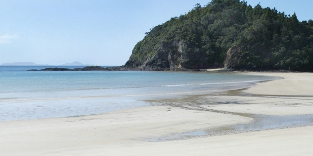 Northland is seen as being one of the most at-risk regions in New Zealand. Photo / File