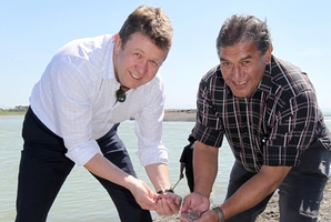 Labour Party leader David Cunliffe and Ngati Kahungunu Iwi Inc chairman Ngahiwi Tomoana check out whitebait in the Tukituki River. Photo / Duncan Brown