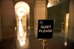 Republicans want a one-year delay in healthcare reforms. Photo / AP
