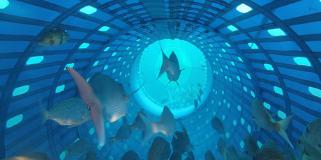The new fishing system is designed to reduce injury and death caused to unwanted bycatch in traditional nets.