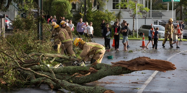 Workers clean up after Tuesday's storm toppled trees and damaged properties in Devonport. Picture / Brett Phibbs
