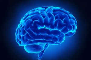 The brain is the most complicated object in the known universe. Photo / Getty Images