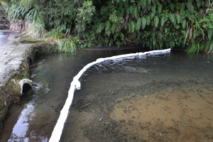 Boom across the Makotuku Stream at Horopito.
