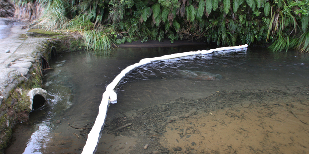 Boom across the Makotuku Stream at Horopito.