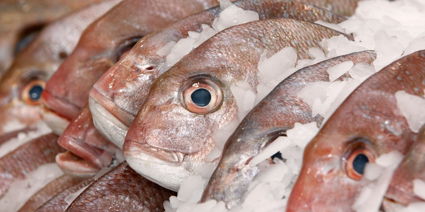 About 200 people could lose their jobs if Independent Fisheries closes its Woolston plant. Photo / Brett Phibbs
