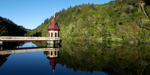 The Karori Wildlife Sanctuary is a paradise for birds, and bird lovers. Photo / Positively Wellington Tourism