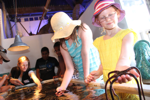 It's a hands on experience at Island Bay.