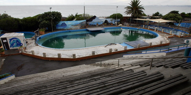 Marineland supporters are determined to get the council on their side to save the park.