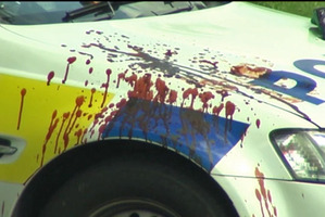 The officer's police car was left splattered with blood.
