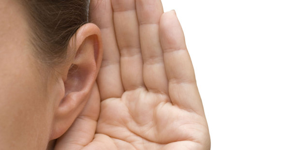 Photo / Thinkstock