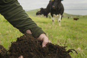 Photo: Ted BaghurstHumus, worms, and deep roots; the signs of healthy soil.