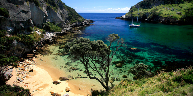 Much of Great Barrier Island's coast is worthy of a cinematographer's attention.