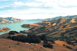 Akaroa Harbour, Banks Peninsula. Photo / Banks Peninsula District Council