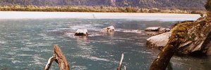 The Haast River. Photo / Clare Bark