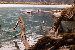 The Haast River. Photo / Clare Bark