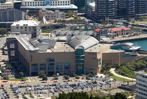 The remains will be taken back to Te Papa in Wellington. Photo / APN