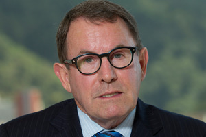 Act Party leader John Banks. File photo / Mark Mitchell