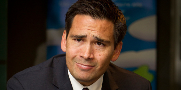 Minister Simon Bridges. Photo / Glenn Taylor