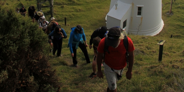 Participants in the Bay of Islands Walking Weekend tackle the demanding Cape Brett hike. Photo / Stephen Western