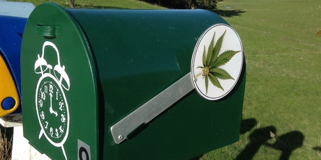 A "green'' letterbox spotted in Otago.