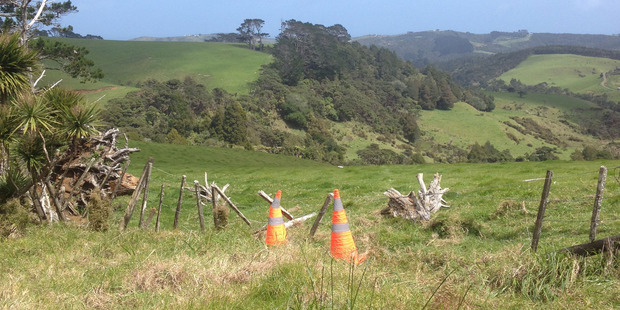 The scene of the crash. Photo / Brendan Manning