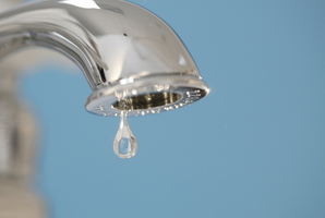 Photo / Thinkstock