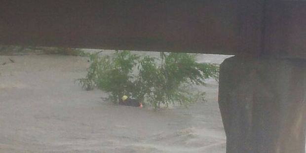 The rider was able to cling to a semi-submerged tree for around 40 minutes. Photo / Adonia Wilson