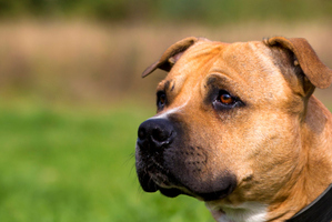 File photo / Thinkstock