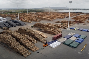 Northland Port Corp has long-term plans to build a container terminal at North Port, Marsden Pt. Photo / File