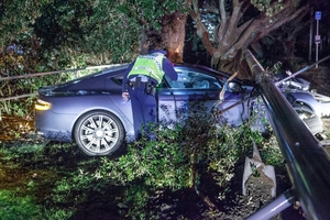 All profits of the auction will go towards Students Against Driving Drunk (SADD). Photo / SNPA