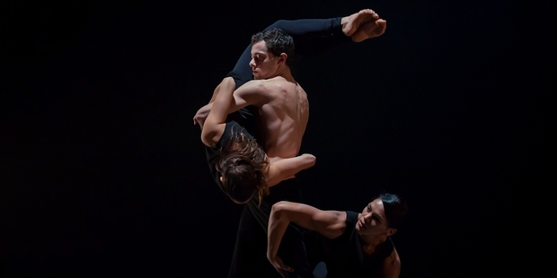 Kaha by Atamira Dance Company proved to be a polished, fast-paced and energetic performance. Photo / Carl Gordon