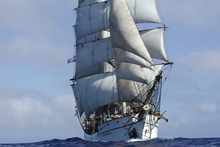 The Picton Castle under full sail. Photo: Supplied 