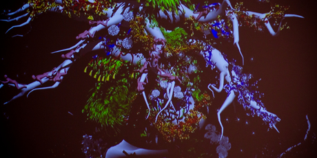 Florotopia by artist Gregory Bennett on show at the Two Rooms Gallery in Newton. Photo / Dean Purcell