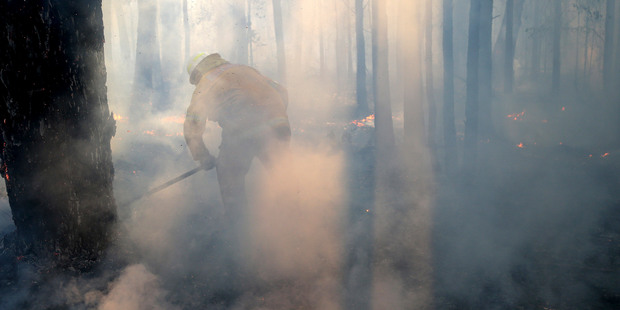 Firefighters mop up and check for reflash after a firestorm swept through a property in Bilpin. Photo / AP