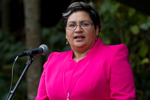 Ms Turei said the Greens had made it clear they did not agree with the decision, but supported the bill as a whole. Photo / Brett Phibbs