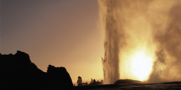 Pohutu Geyser.
