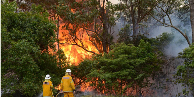 Rural Fire Service volunteers conducting back-burning in the Catherine Hill Bay area near Wyong. Photo / AAP