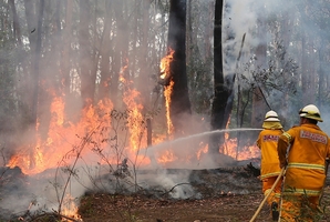 Firefighters try to control flames near houses at Bilpin, west of Sydney. Photo / AP