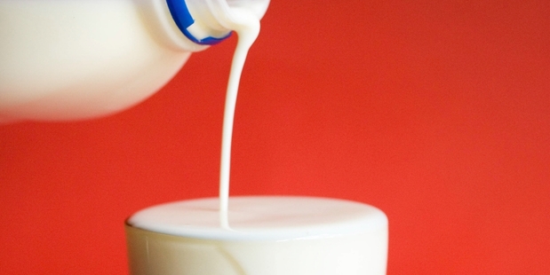 Diluting the milk and changing farming methods each have consequences for our world famous product. Photo / Paul Estcourt