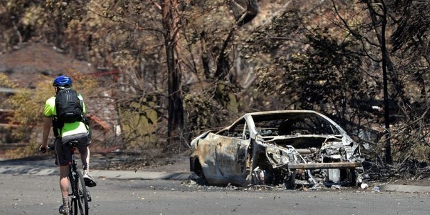 A man rides past a car burnt out by recent bush fires in Springwood in the Blue Mountains. Photo / AFP