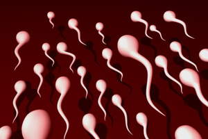Estimates suggest around 30 per cent of men in couples seeking IVF treatment are subfertile.Photo / Thinkstock