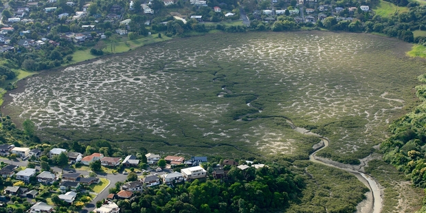 The Tuff Crater Lagoon in Northcote. Photo / Martin Sykes