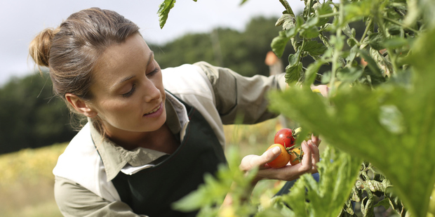 There's simple pleasure in growing your own fruit and vegetables, and you can sell the surplus. Photo / Thinkstock
