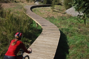 Cycle trails in the Waikato