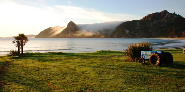 Five young people have died in the remote Taupo Bay area.