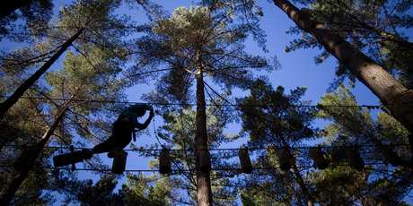 Tree Adventures' courses take participants on high-level wires strung through the treetops at Woodhill Forest. Photo / Greg Bowker